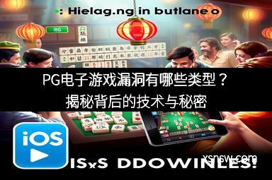 PG电子游戏漏洞有哪些类型？揭秘背后的技术与秘密